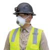 N95 Disposable Respirator, 10-Pack view 1