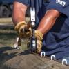 Utility Staples, Collated view 1